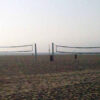 Volleyball & Net Sports